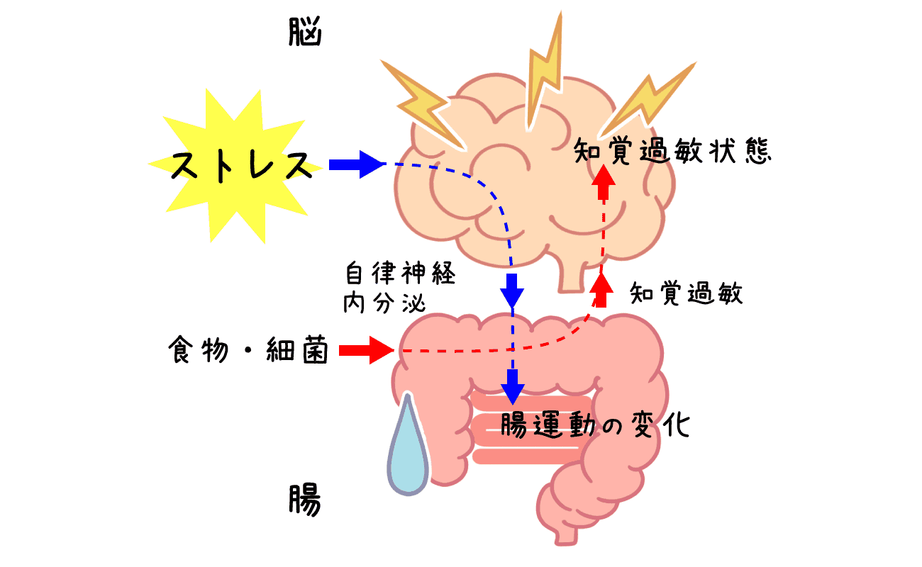 過敏性腸症候群