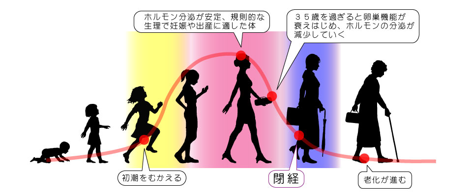 更年期とエストロゲンの関係