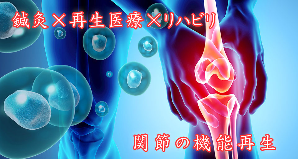 膝の再生医療と鍼灸治療グ